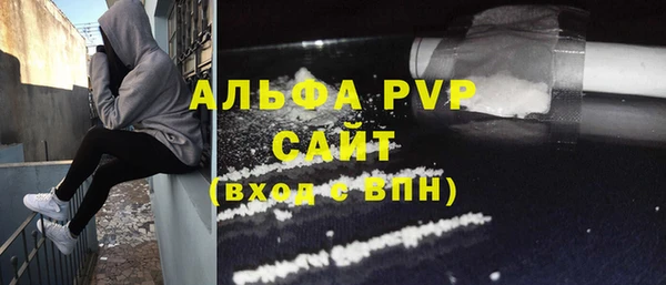 хмурый Ладушкин