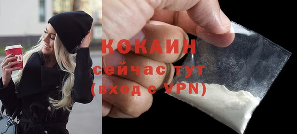 хмурый Ладушкин