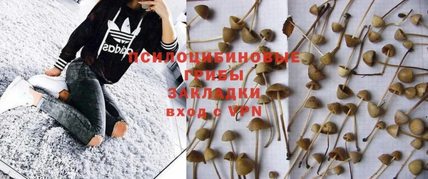 хмурый Ладушкин