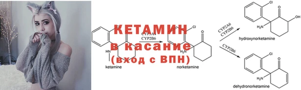 хмурый Ладушкин
