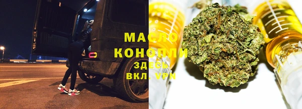 хмурый Ладушкин