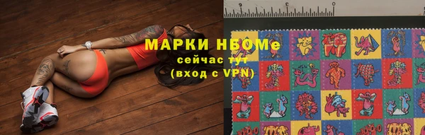 хмурый Ладушкин