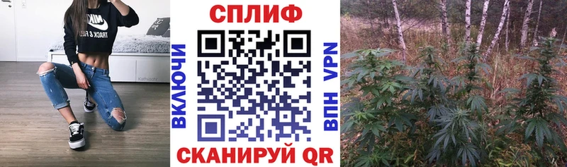 Шишки марихуана сатива  цена   Энем 
